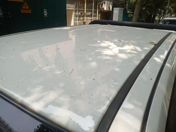 [南京·苏A] 二手长城风骏72019款 2.0T柴油四驱精英型国VI大双GW4D20M