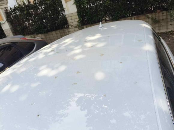 [上海·沪B] 二手奥迪奥迪A32018款 30周年年型 Sportback 35 TFSI 进取型