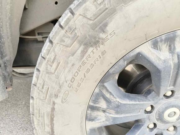 [芜湖·皖B] 二手长城炮2020款 2.0T越野版自动汽油四驱高阶版GW4C20B