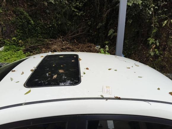 [温州·浙C] 二手荣威荣威3502014款 1.5L 自动迅悦版