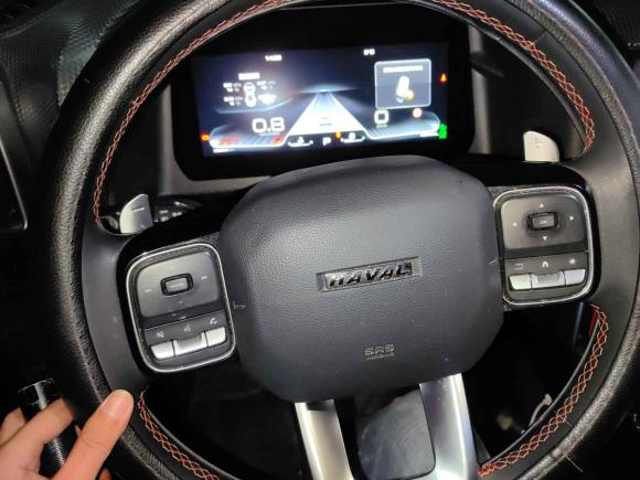 [武汉·鄂M] 二手哈弗哈弗大狗2021款 2.0T DCT两驱中华猎犬版