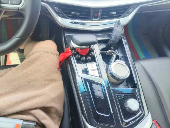 [嘉兴·浙F] 二手吉利汽车博瑞2021款 1.8T 领航版+