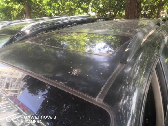 [上海·鲁N] 二手双龙雷斯特2006款 RX270 XDi XD豪华型