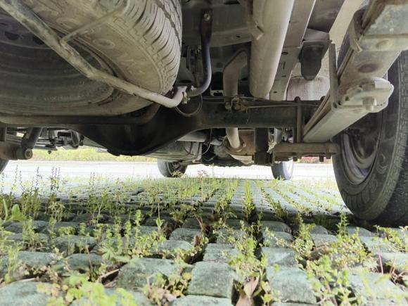 [苏州·苏E] 二手金杯金杯快运2019款 2.0L标准型国VI 1TZS