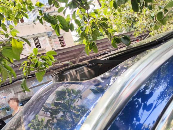 [南京·苏A] 二手奇瑞瑞虎8 PLUS2021款 290TGDI DCT豪耀版