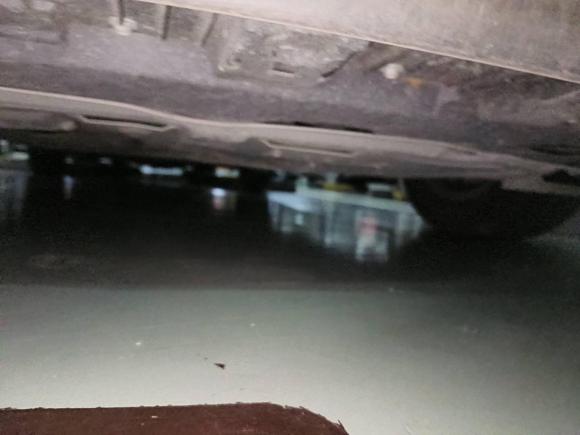 [宁波·浙B] 二手丰田雷凌2017款 改款 185T CVT精英版 国V