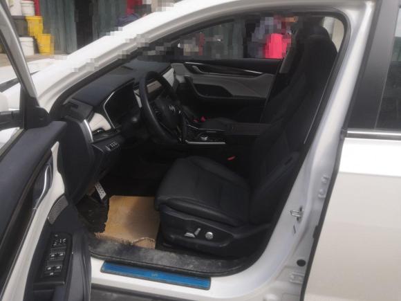 [合肥·皖A] 二手威马汽车威马EX52020款 EX5-Z Fun动感版