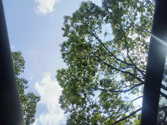 [上海·沪A] 二手丰田汉兰达2015款 2.0T 四驱豪华版 7座