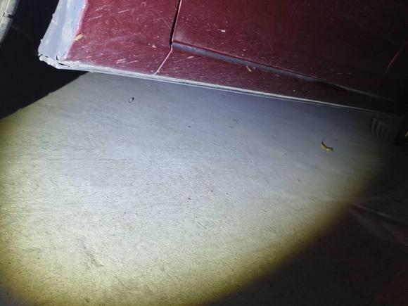 [广州·湘E] 二手马自达阿特兹2020款 2.5L 蓝天尊崇版