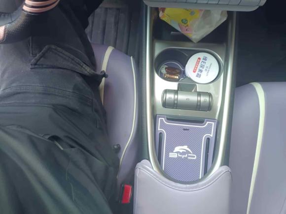 [南通·苏F] 二手比亚迪海豚2021款 405km 时尚版