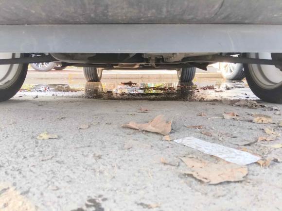 [青岛·鲁B] 二手福特翼搏2018款 改款 1.5L 自动铂翼型