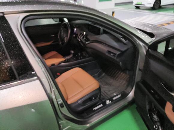 [杭州·浙A] 二手雷克萨斯雷克萨斯UX2020款 260h 探·趣版