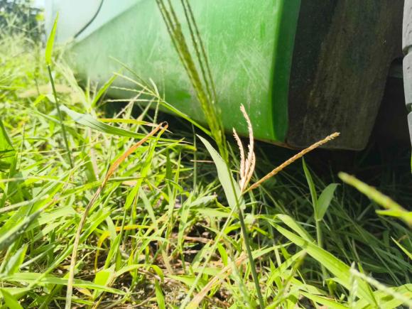 [嘉兴·浙C] 二手宝马宝马3系2009款 330i敞篷轿跑车