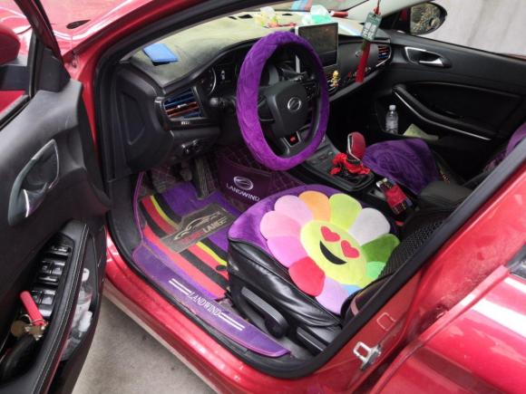 [上海·苏C] 二手陆风陆风逍遥2018款 1.5GTDI 手动白银版