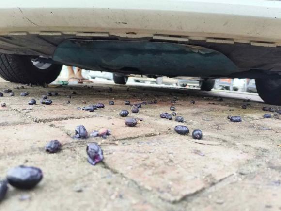 [佛山·粤L] 二手现代名图2014款 1.8L 自动智能型GLS