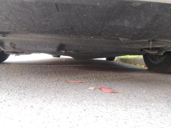 [上海·沪A] 二手比亚迪秦新能源2017款 1.5T 尊贵型