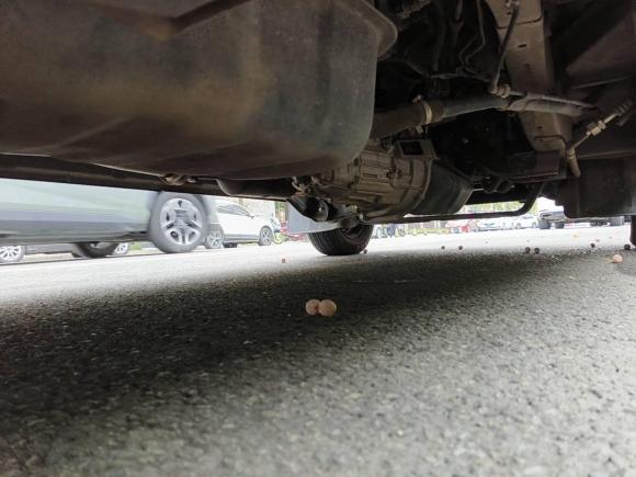 [成都·川G] 二手金杯小海狮X302019款 1.5L 舒适型国VI SWC15M