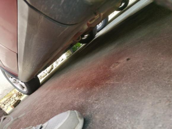 [宁波·浙B] 二手铃木天语 SX42011款 改款 1.6L 自动运动型