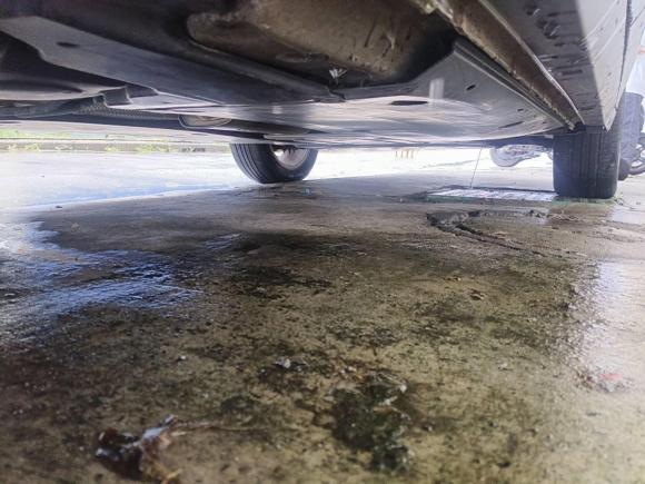 [上海·沪C] 二手大众途铠2021款 1.5L 自动舒适版