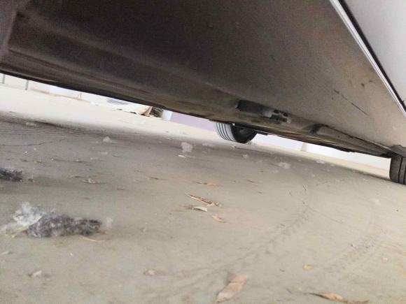 [青岛·鲁B] 二手奔驰奔驰E级2019款 改款 E 300 L 时尚型