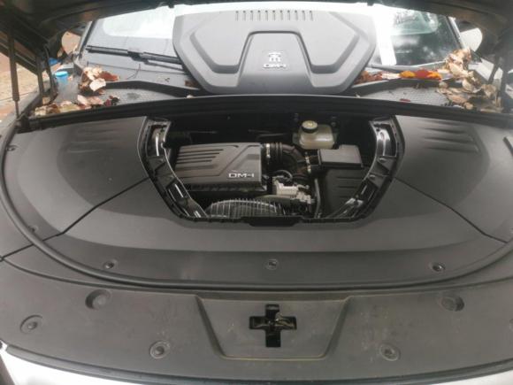 [台州·浙B] 二手比亚迪宋PLUS新能源2021款 DM-i 51KM 尊荣型