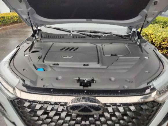 [上海·沪C] 二手奇瑞瑞虎8 PRO2024款 冠军版 290T 两驱巅峰版 5座