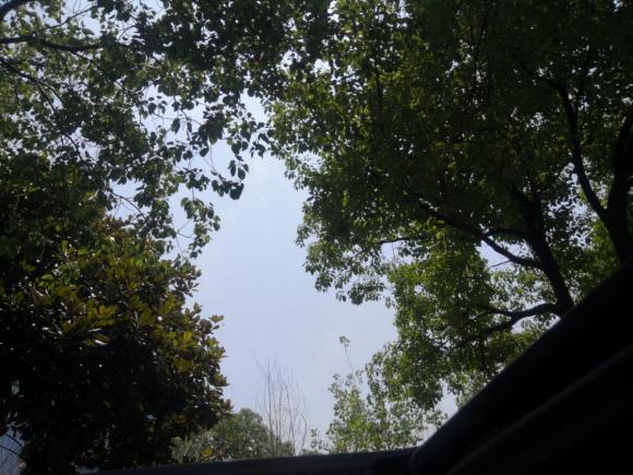 [上海·沪C] 二手东南V5菱致2014款 1.5L 手动舒雅型