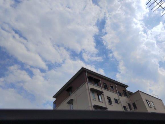 [上海·浙B] 二手荣威荣威5502014款 550S 1.8L 自动智选版