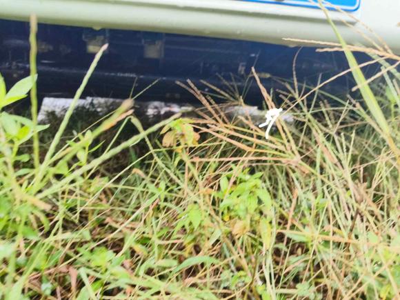 [苏州·浙B] 二手福田祥菱V2016款 1.2L舒适型单排LJ469Q-1AE9