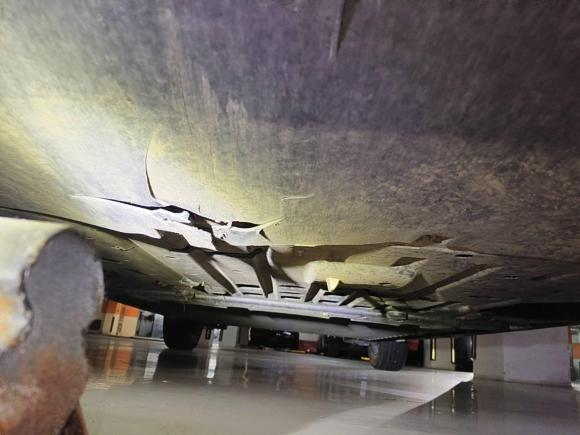 [合肥·皖A] 二手比亚迪海豚2023款 420km 时尚版