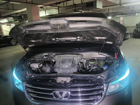 [上海·沪A] 二手华颂华颂72015款 2.0T 自动豪华型