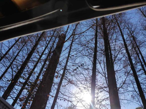 [上海·沪D] 二手斯巴鲁森林人2016款 2.0i 时尚导航版