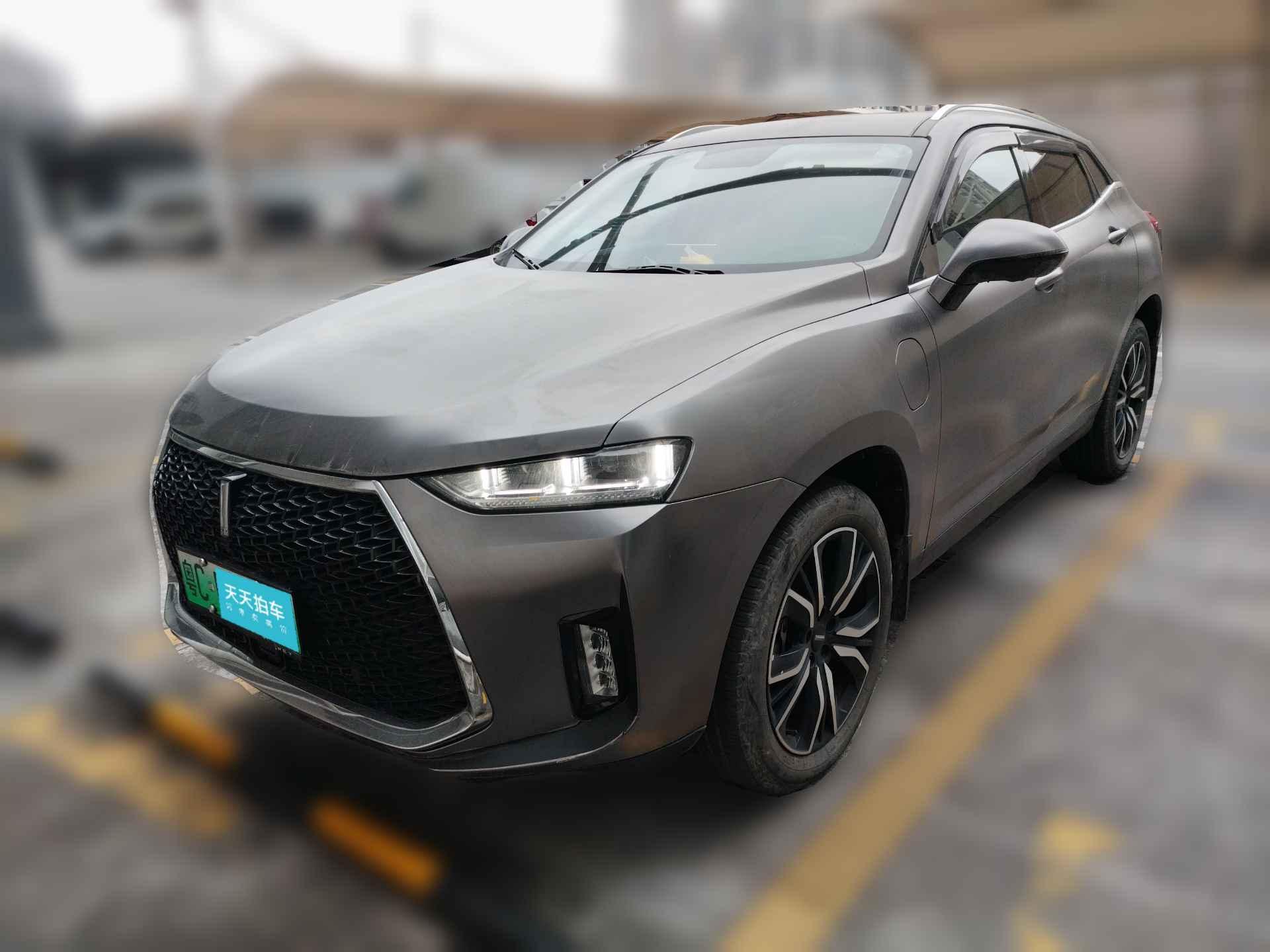 [佛山·粤C] 魏牌魏牌 P82018款 2.0T 尊贵型