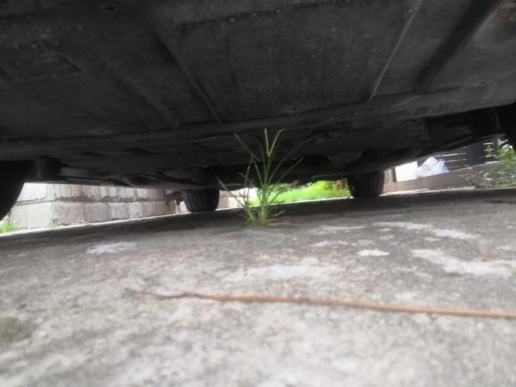 [上海·沪B] 二手英菲尼迪英菲尼迪Q702013款 Q70L 2.5L 舒适版