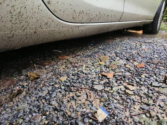 [南京·苏A] 二手别克英朗2012款 GT 1.6L 自动时尚版