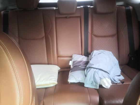 [芜湖·皖B] 二手奇瑞新能源大蚂蚁2020款 高能pro版