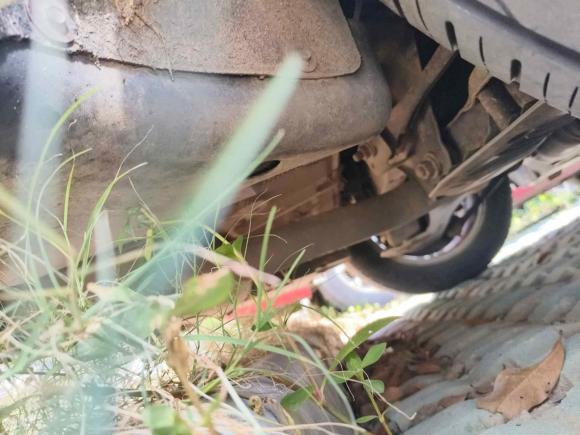 [嘉兴·浙H] 二手宝马宝马3系2013款 320Li 时尚型