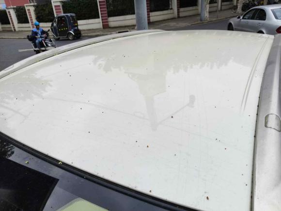 [上海·鄂B] 二手日产楼兰2015款 2.5L XE 两驱精英版