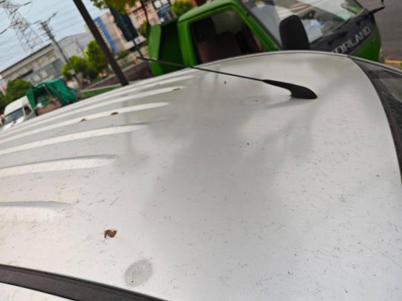 [常州·苏C] 二手五菱汽车五菱荣光V2016款 1.5L标准型