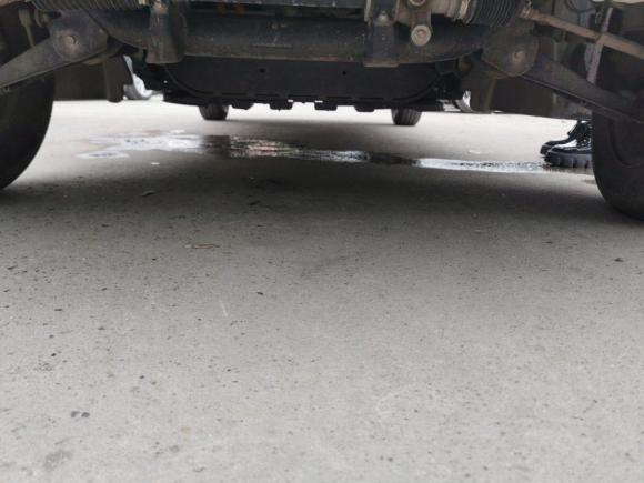 [上海·沪A] 二手远程远程E52019款 E5L 纯电动厢式运输车国轩39.9kWh