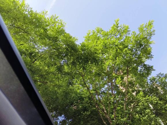 [西安·陕A] 二手奥迪奥迪A4L2020款 40 TFSI 豪华动感型