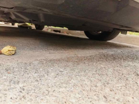 [上海·沪A] 二手比亚迪秦新能源2018款 1.5T 智联尊贵型