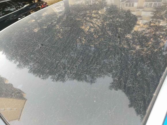 [上海·沪A] 二手腾势腾势2014款 尊贵版