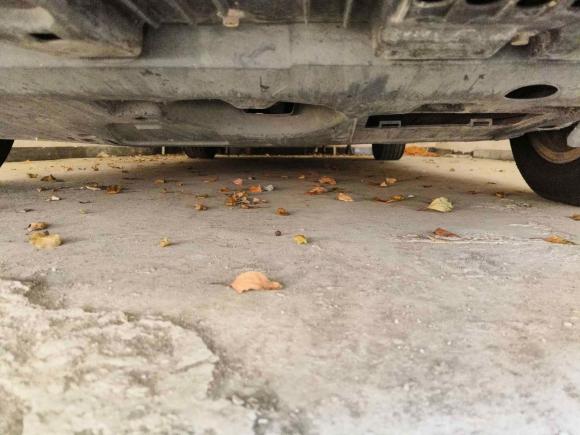 [南昌·赣A] 二手丰田雷凌2016款 双擎 1.8H GS E-CVT精英天窗版