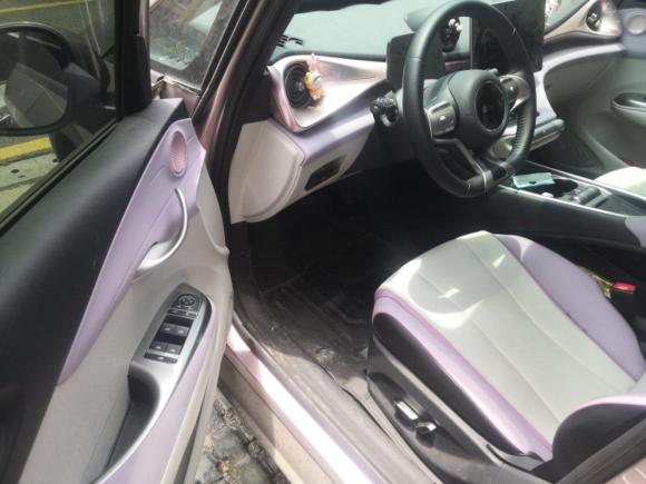 [嘉兴·浙F] 二手比亚迪海豚2021款 405km 时尚版