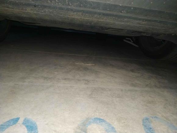 [济南·鲁A] 二手斯柯达柯迪亚克2019款 改款 TSI330 7座两驱豪华优享版 国VI