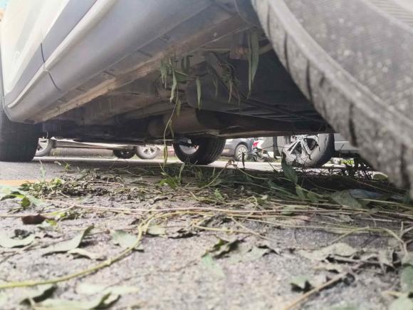 [深圳·湘N] 二手长安欧尚长安欧尚X72021款 1.5T 自动尊享型