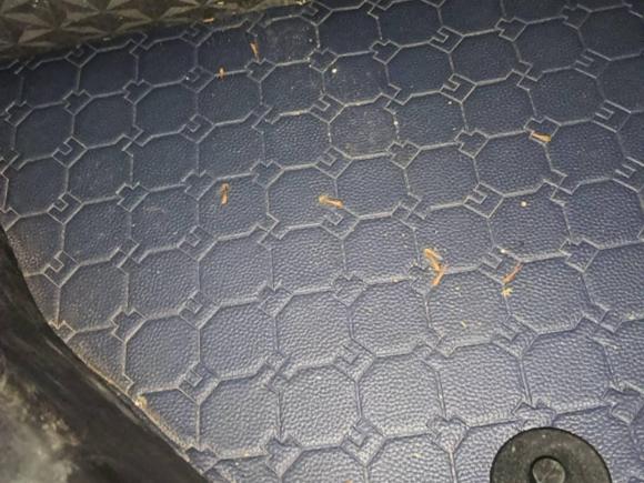 [西安·晋M] 二手捷途捷途X702018款 1.5T 自动悦行版