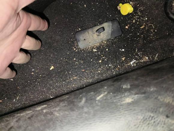 [合肥·皖A] 二手奇瑞艾瑞泽52016款 1.5L CVT领潮版