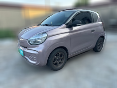 [苏州·苏E] 荣威科莱威CLEVER2021款 302km卓越版